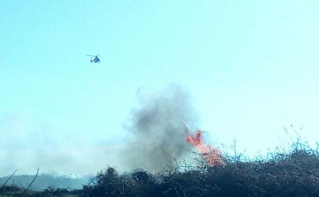 Imagen principal - Incendio en la marjal de Sagunto.