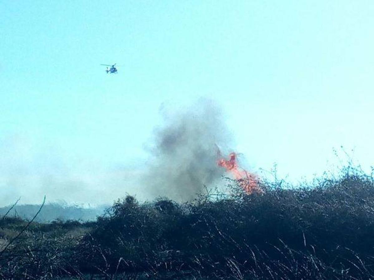 Fotos del incendio en la Marjal dels Moros en Sagunto