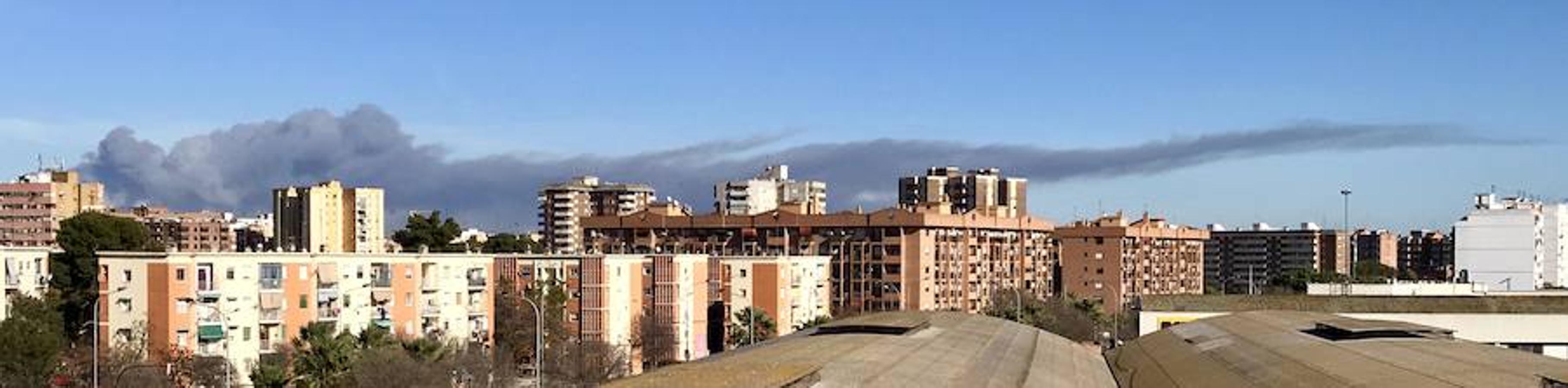 Fotos del incendio en la Marjal dels Moros en Sagunto