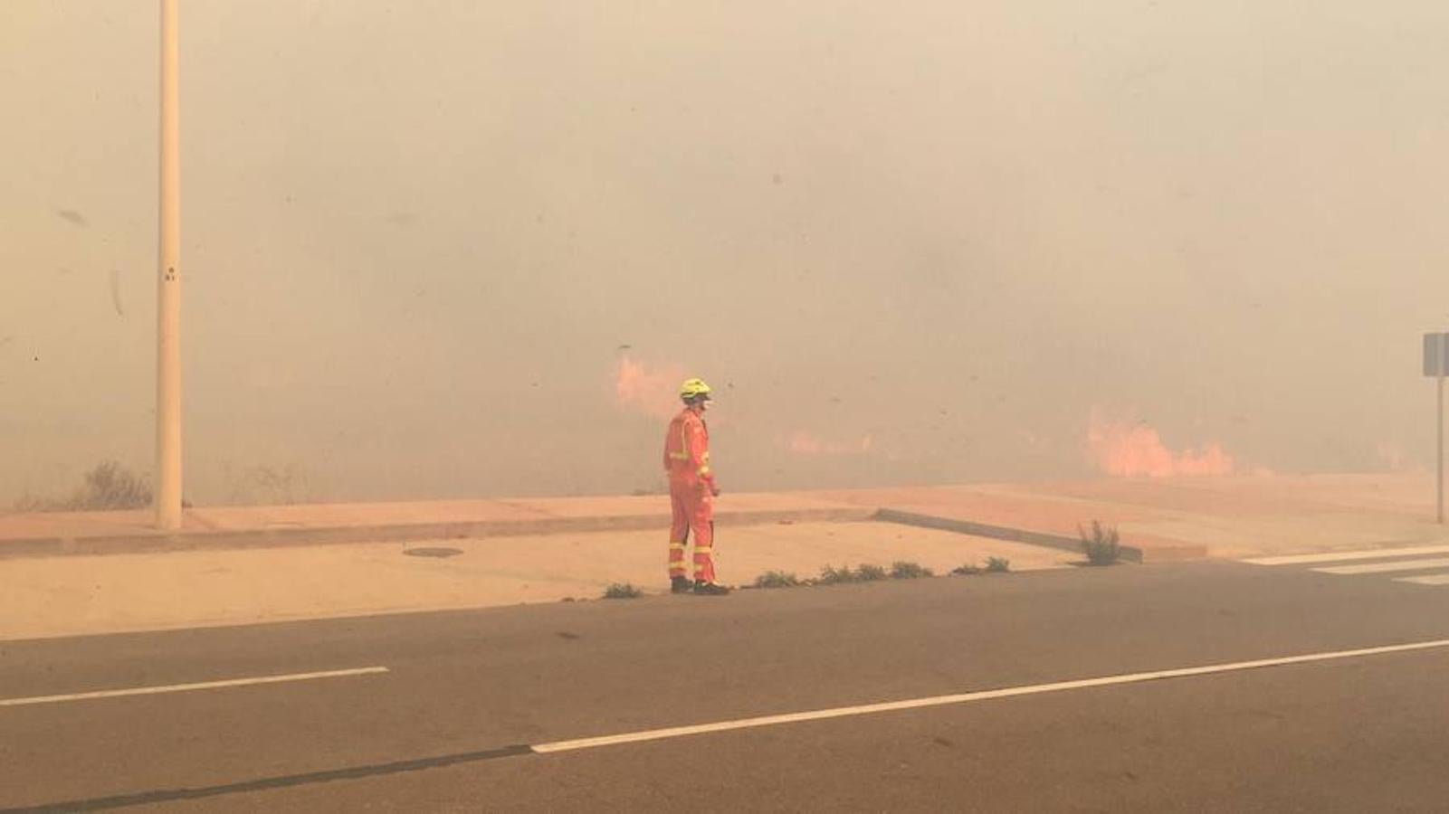 Fotos del incendio en la Marjal dels Moros en Sagunto