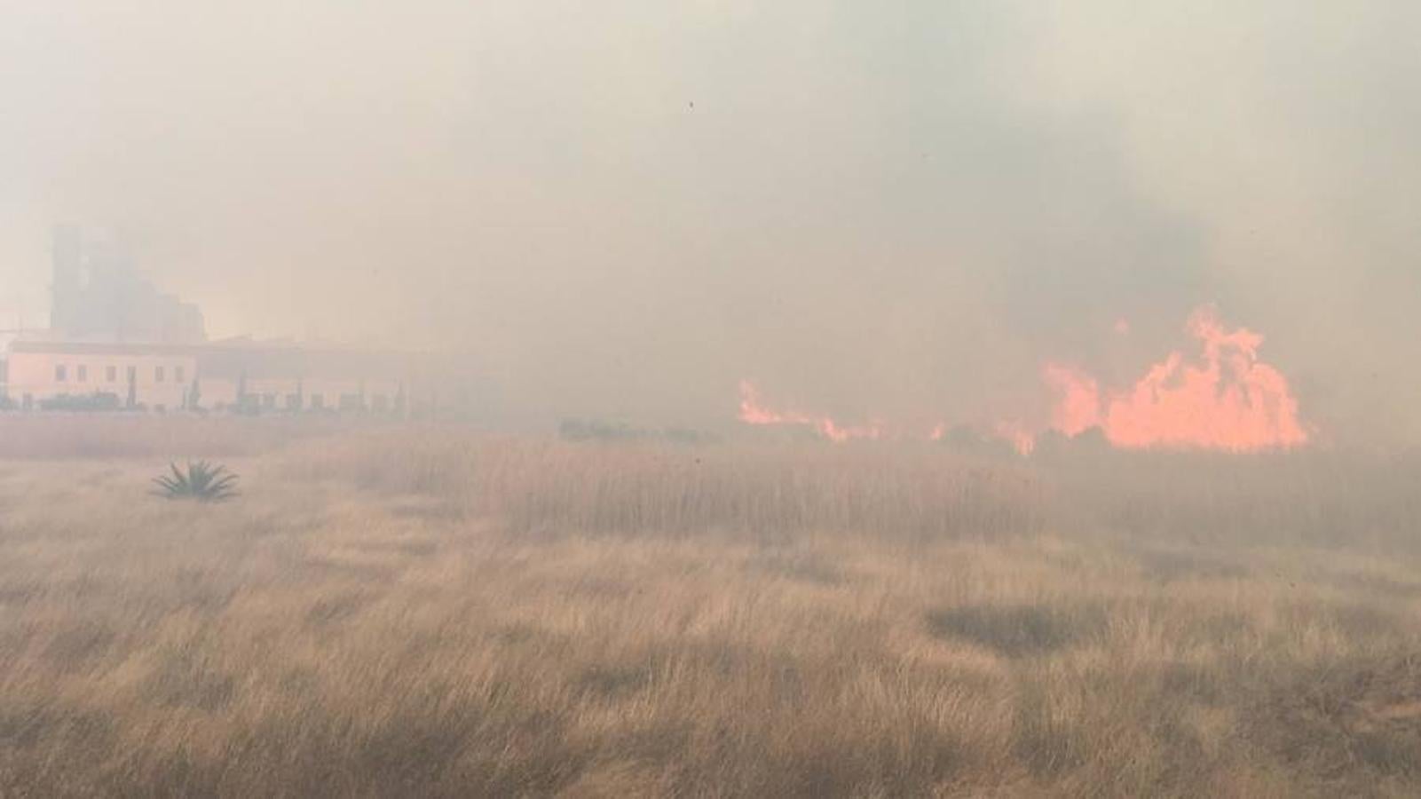 Fotos del incendio en la Marjal dels Moros en Sagunto