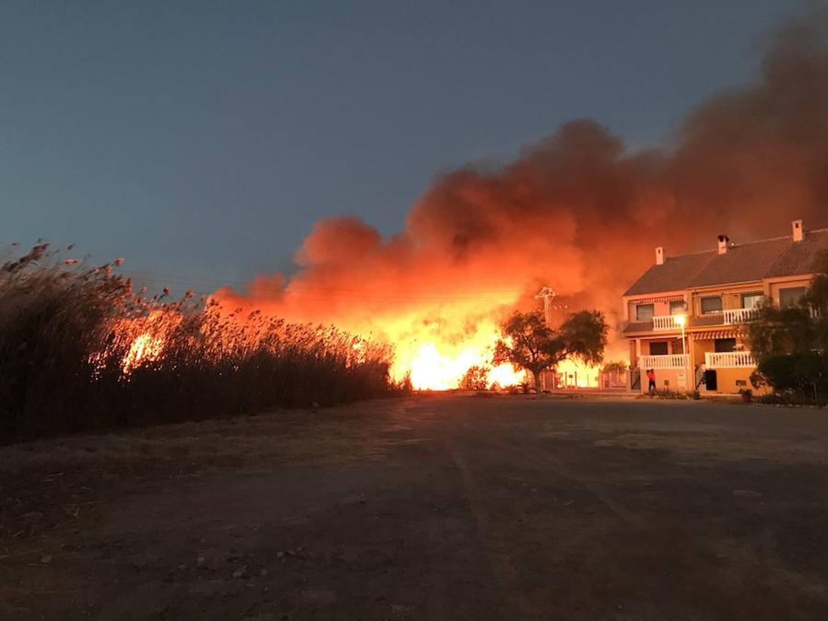 Fotos del incendio en la Marjal dels Moros en Sagunto