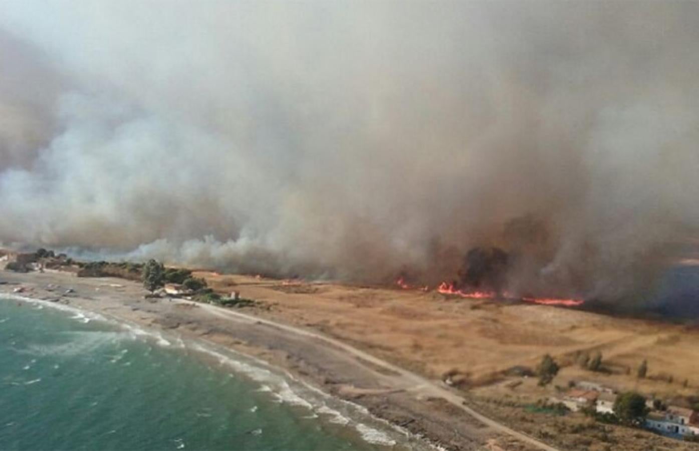 Fotos del incendio en la Marjal dels Moros en Sagunto