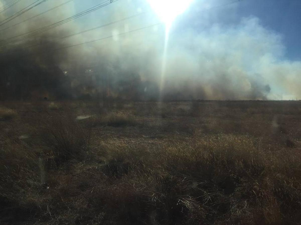 Fotos del incendio en la Marjal dels Moros en Sagunto