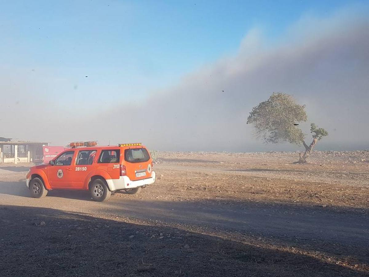 Fotos del incendio en la Marjal dels Moros en Sagunto