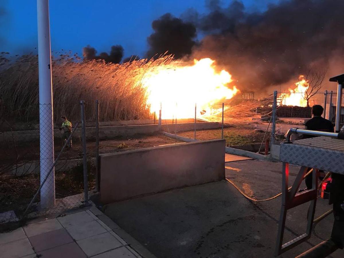 Fotos del incendio en la Marjal dels Moros en Sagunto