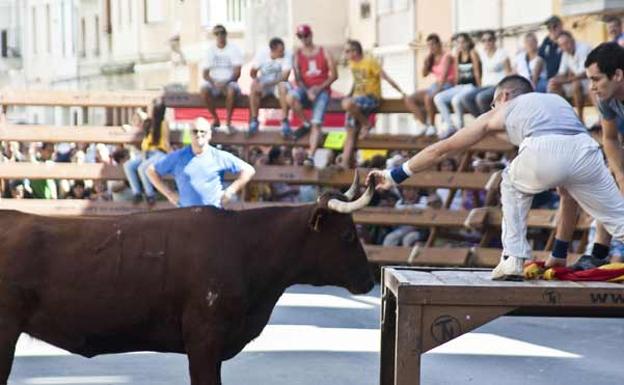 El PP denuncia que el Consell «está haciendo lo imposible por cargarse los bous al carrer»