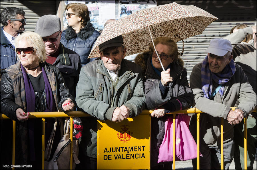 La calle Sagunto es, desde primera hora de la mañana, el epicentro de la celebración de la festividad de San Antonio Abad en la ciudad de Valencia. Perros, gatos, loros, hurones, tortugas o conejos son algunos de los animales que desde las 12.00 horas reciben la bendición en el acto organizado por la Hermandad de San Antonio Abad. El primero en recibir el agua bendita ha sido Currito, la mascota de Vicenta Cerveró, de Campanar. “Vengo desde hace cinco años con él, desde que lo saqué de la protectora de animales”, relata. Los participantes en el desfile, que cerrarán las caballerías, reciben garrofetes y panes bendecidos, además de una estampa de San Antonio Abad. Algunos de los asistentes han llegado a las ocho de la mañana para ser de los primeros en pasar.