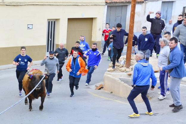 Los aficionados corren detras del bou en corda por las calles de Pedralba. 
