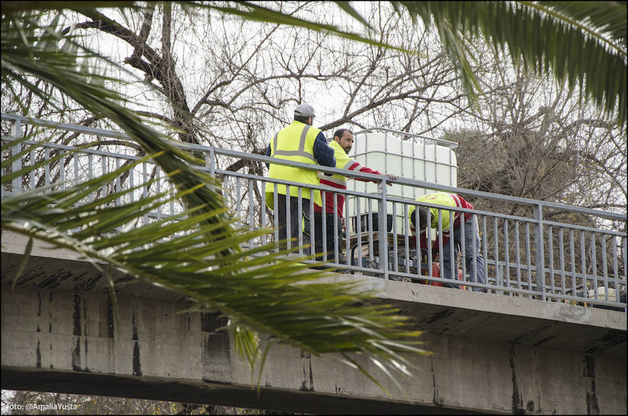 Fotos del cierre de dos de las cinco pasarelas de la avenida del Cid para su desmontaje