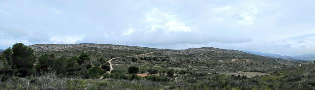 Terrenos donde se estudia ubicar el vertedero comarcal. 