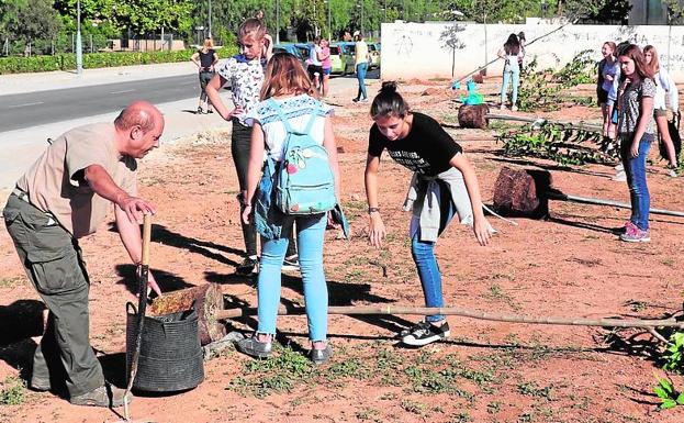 Una de las actividades medioambientales.