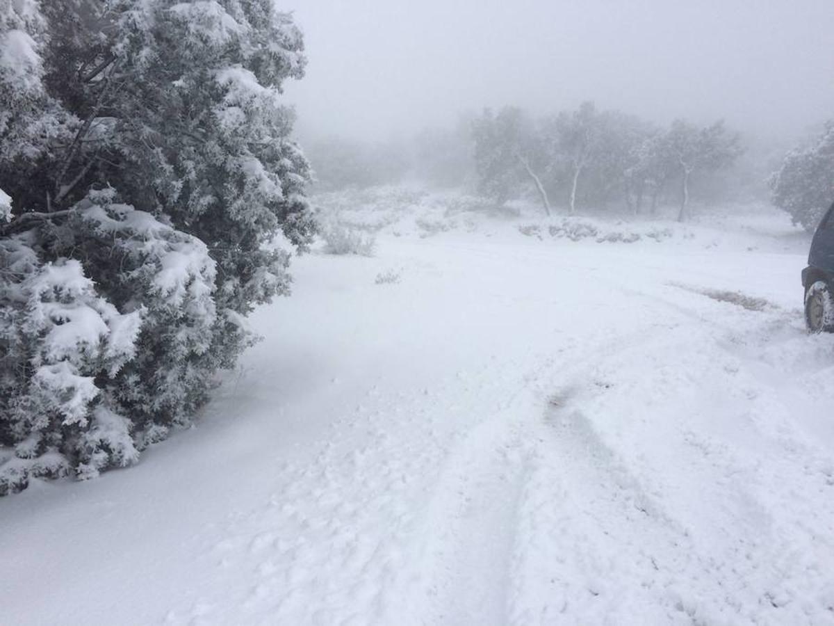 Fotos de nieve en la provincia de Alicante y de Valencia