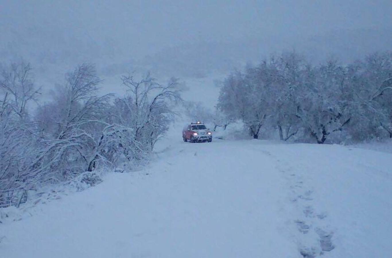 Fotos de nieve en la provincia de Alicante y de Valencia