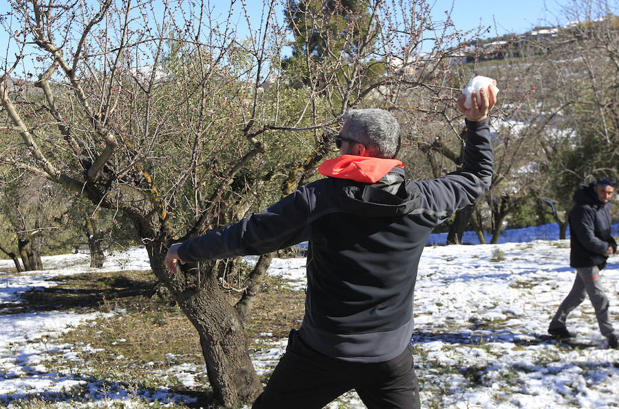 Muchos valencianos han aprovechado el fin de semana para acercarse a disfrutar de la nieve caída en los últimos días. Las zonas más visitadas están siendo los municipios de Agrés, Alcoy o Muro, en la provincia de Alicante, así como Morella y la comarca de Els Ports. Las temperaturas y el volumen de precipitaciones limita el disfrute a modestas batallas de bolas de nieve y la construcción de algunos muñecos, en los que más de uno ha aprovechado sus propias bufandas y gorros para decorarlos, debido a la clima primaveral que reinó durante la mañana del sábado.