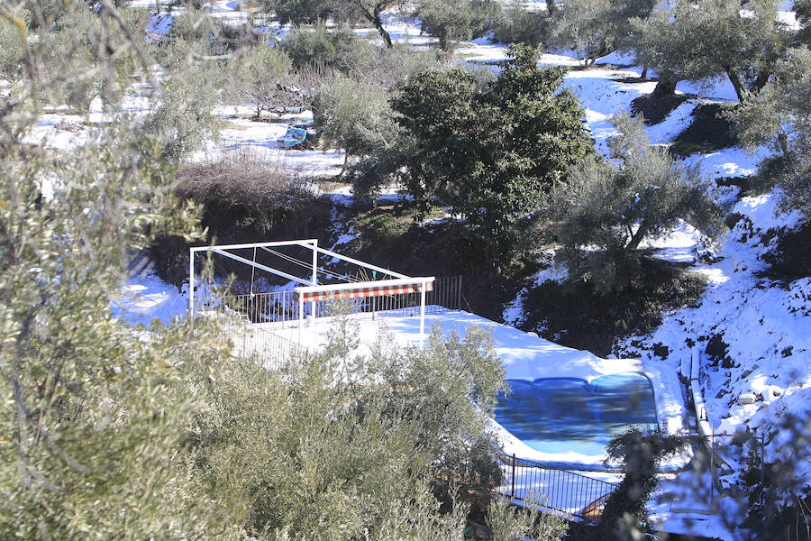 Muchos valencianos han aprovechado el fin de semana para acercarse a disfrutar de la nieve caída en los últimos días. Las zonas más visitadas están siendo los municipios de Agrés, Alcoy o Muro, en la provincia de Alicante, así como Morella y la comarca de Els Ports. Las temperaturas y el volumen de precipitaciones limita el disfrute a modestas batallas de bolas de nieve y la construcción de algunos muñecos, en los que más de uno ha aprovechado sus propias bufandas y gorros para decorarlos, debido a la clima primaveral que reinó durante la mañana del sábado.