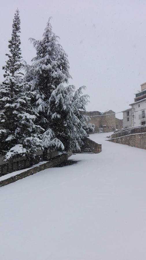 Fotos de la gran nevada en Valencia y Castellón