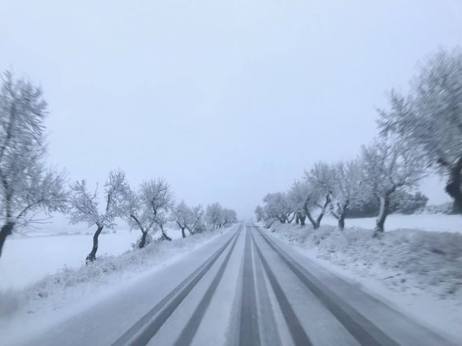 Fotos de la gran nevada en Valencia y Castellón