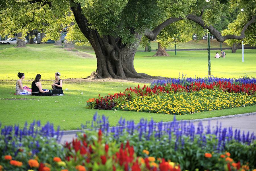 2.- Picnic y naturaleza | Y qué mejor forma de celebrar el Día de los Enamorados que haciendo las delicias de tu pareja con un almuerzo o una comida preparada por ti mismo. En la ciudad hay varios merenderos y zonas habilitadas para ello.