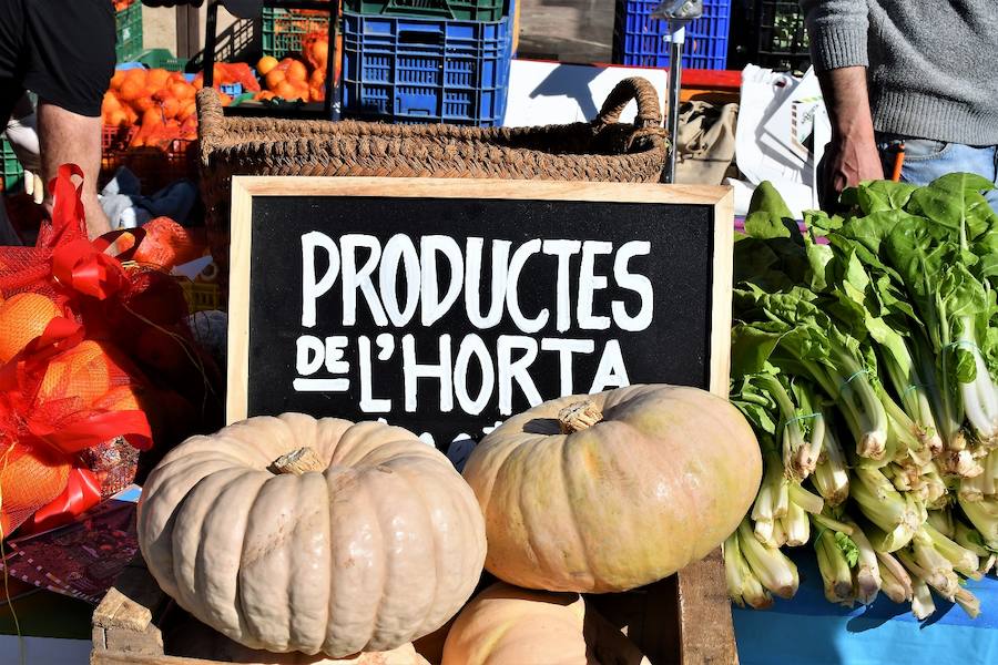 La plaza del Ayuntamiento de Valencia ha acogido este domingo la tercera edición del mercado de proximidad 'De l'Horta a la Plaça', en el que 55 productores y diez puestos de distribución han compartido el céntrico enclave de la ciudad con talleres, charlas y música. La propuesta de fomento de la producción agrícola de proximidad organizada por la Concejalía de Agricultura y Pueblos de Valencia arrancó a las 10 de la mañana con actividades divulgativas, culturales y lúdicas.