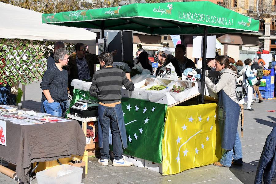 La plaza del Ayuntamiento de Valencia ha acogido este domingo la tercera edición del mercado de proximidad 'De l'Horta a la Plaça', en el que 55 productores y diez puestos de distribución han compartido el céntrico enclave de la ciudad con talleres, charlas y música. La propuesta de fomento de la producción agrícola de proximidad organizada por la Concejalía de Agricultura y Pueblos de Valencia arrancó a las 10 de la mañana con actividades divulgativas, culturales y lúdicas.