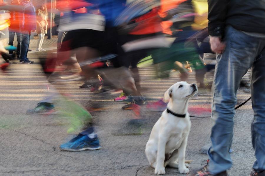 Fotos: Fotos de la carrera Never Stop Running &quot;Nunca te rindas&quot; Valencia 2018