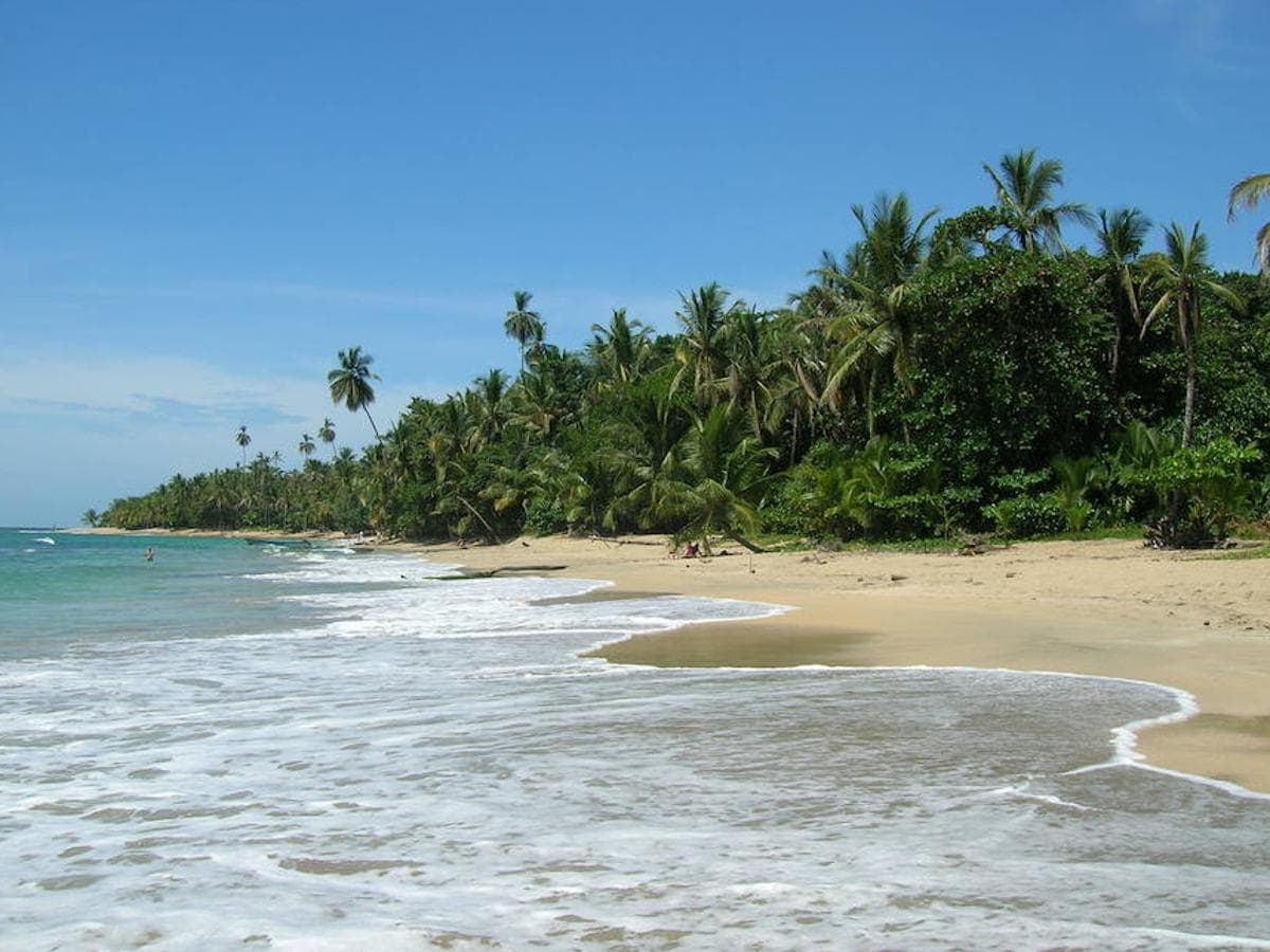 Situada en el puesto 24 y ubicada en Costa Rica, la Playa Punta Uva se trata de un lugar lleno de vegetación y de una mezcla de colores, el azul del mar, el blanquecino de la arena y el verde de los árboles y palmeras que lo rodean. 