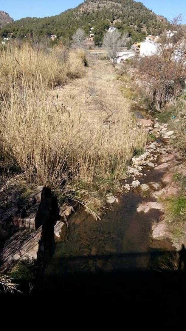 Espacio en el que ha actuado el ganado en Olocau. 