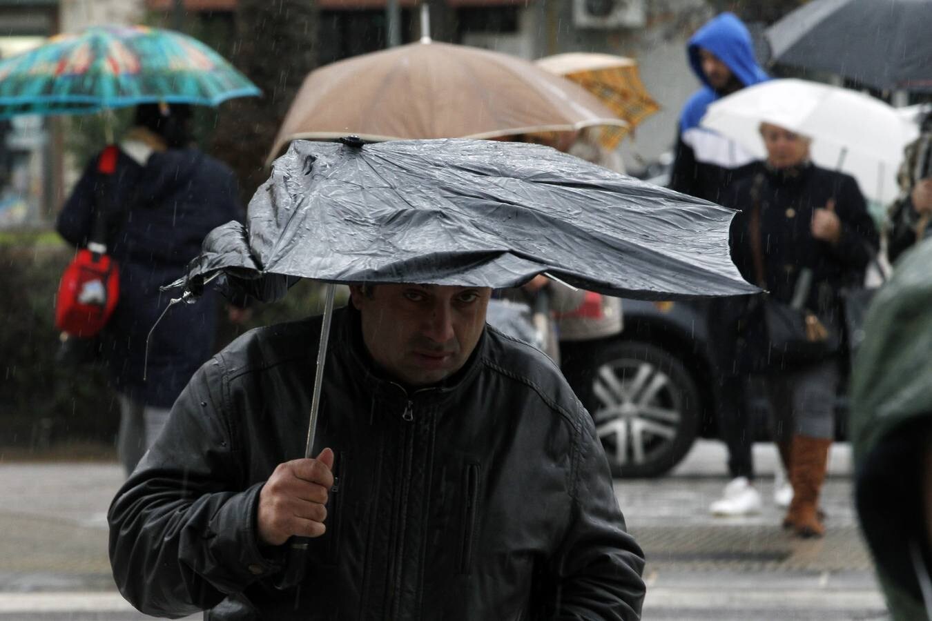 Fotos: Fotos del temporal de nieve y lluvia en la Comunitat