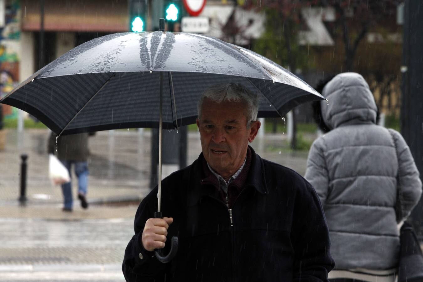 Fotos: Fotos del temporal de nieve y lluvia en la Comunitat