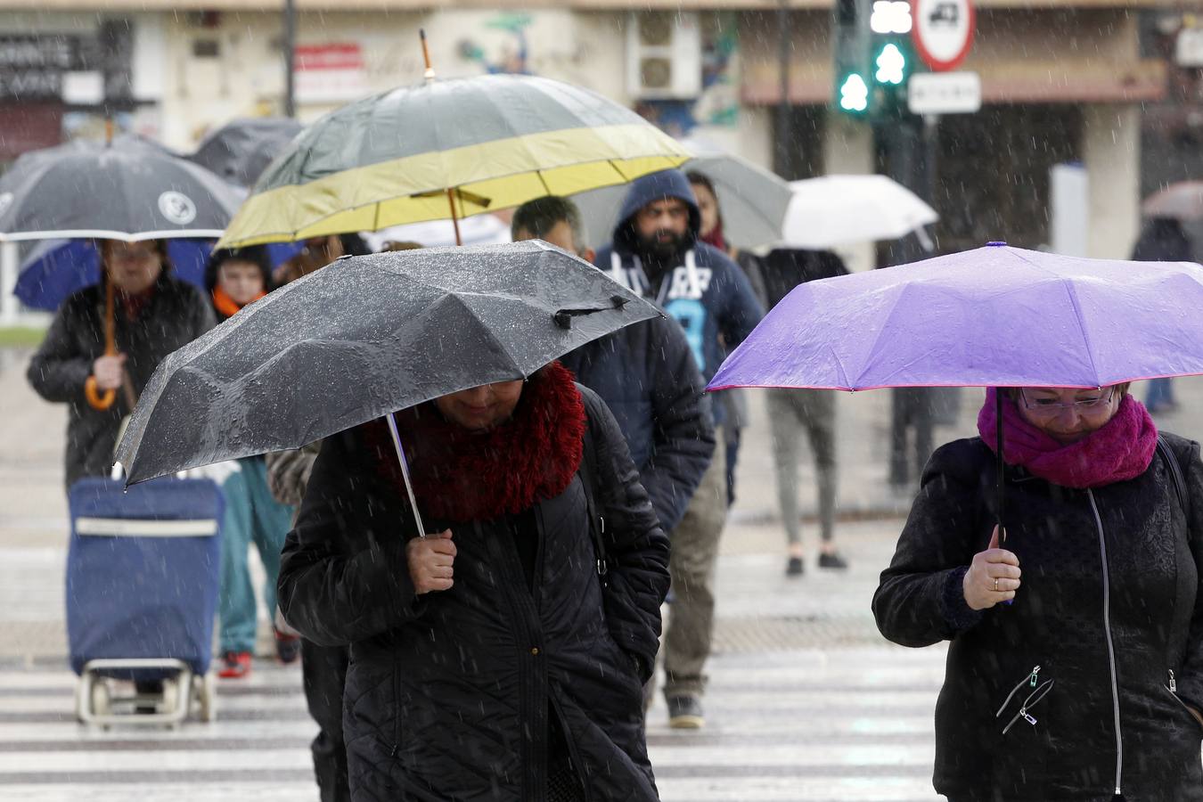 Fotos: Fotos del temporal de nieve y lluvia en la Comunitat