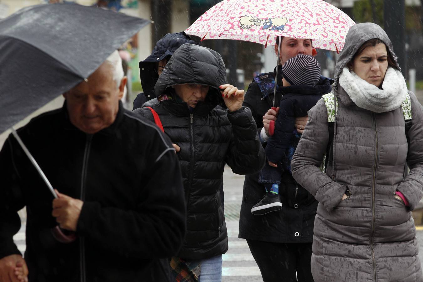 Fotos: Fotos del temporal de nieve y lluvia en la Comunitat