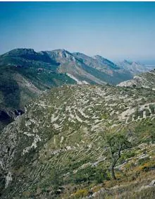 Imagen secundaria 2 - Vistas del entorno natural donde se ubica el barranco.