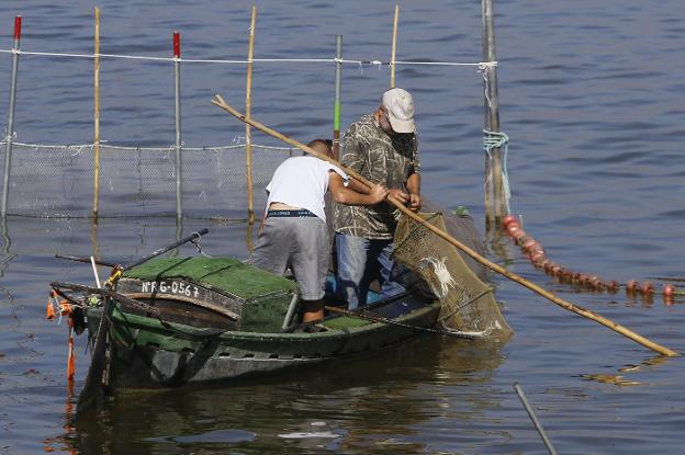 Dos pescadores trabajan en l'Albufera. 