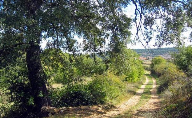 La ruta de La Cruz de los Tres Reinos es un paraje único.