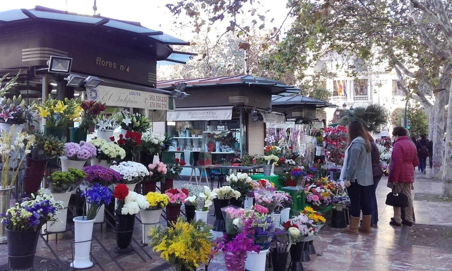 Costumbres | Cuando Begoña Rodrigo pasea por la plaza del Ayuntamiento le gusta contemplar los puestos de flores que la rodean. Es un momento único que, según cuenta, le recuerda a cuando estuvo viviendo en Holanda. "Cuando vivía allí, por costumbre y precio, era raro no comprase flores un par de veces por semana en cualquiera de los puestos callejeros. Esta costumbre he intentado extrapolarla aquí, creo todo el mundo debería tener un par de flores frescas en su florero todas las semanas".