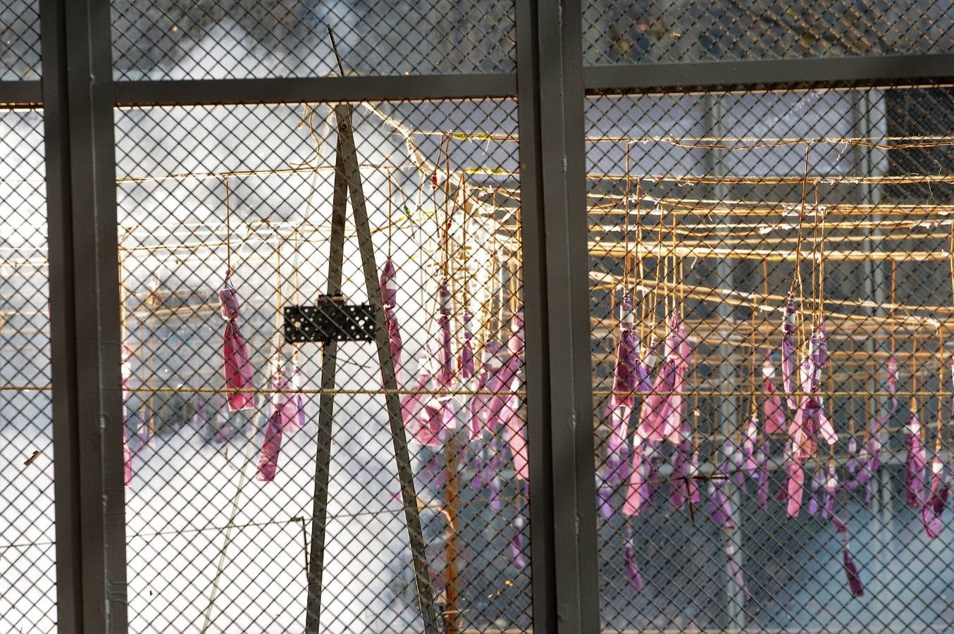 Fotos del público de la mascletà del 8 de marzo de las Fallas 2018. La pirotécnica María José Laro Zamorano, de Caballer FX Global Foc, ha disparado por error el terremoto final al principio, pero ha reaccionado y el espectáculo no se ha detenido. Así, ha logrado una ovación de los espectadores.