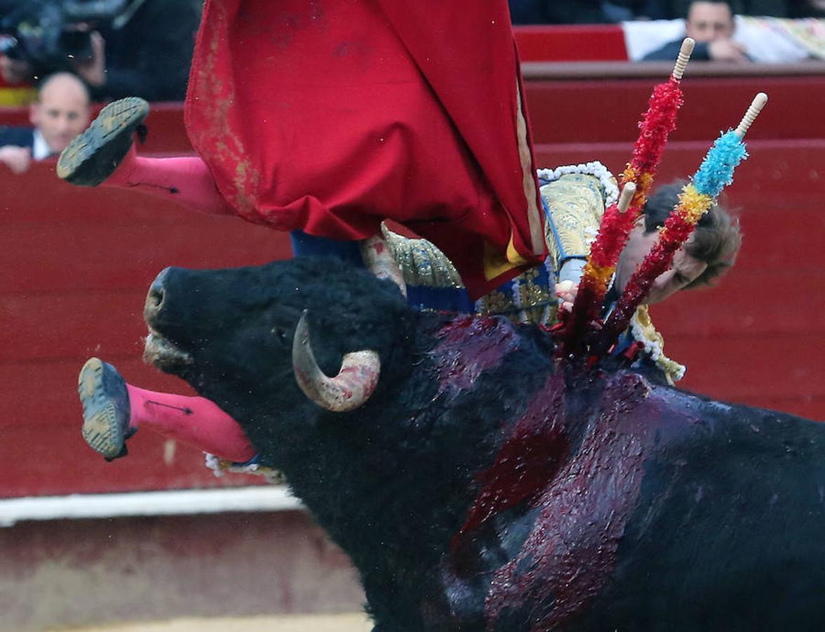 Fotos: Fotos de la cogida de Román en Valencia