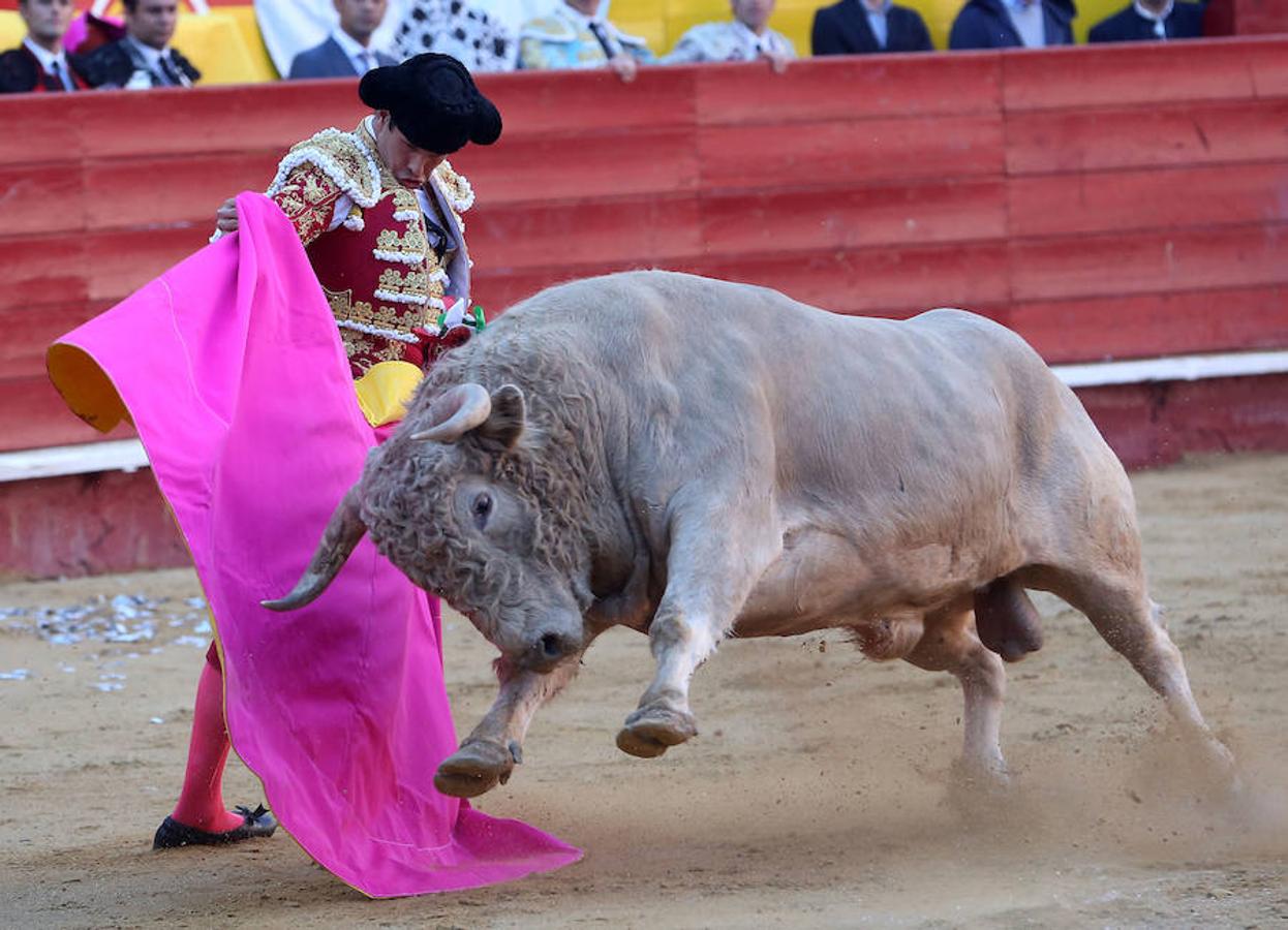 Roca Rey se ha proclamado triunfador absoluto de la corrida de toros de este viernes en Valencia con una faena tremendamente creativa y emocionante. El torero peruano ha salido a hombros de la plaza en la Feria de Fallas. Los tendidos han estado llenos de caras conocidas.