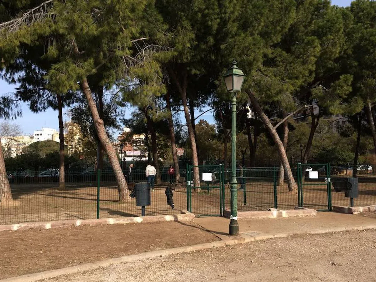 Estos son los parques de Alicante en los que puedes soltar a tu mascota para  jugar