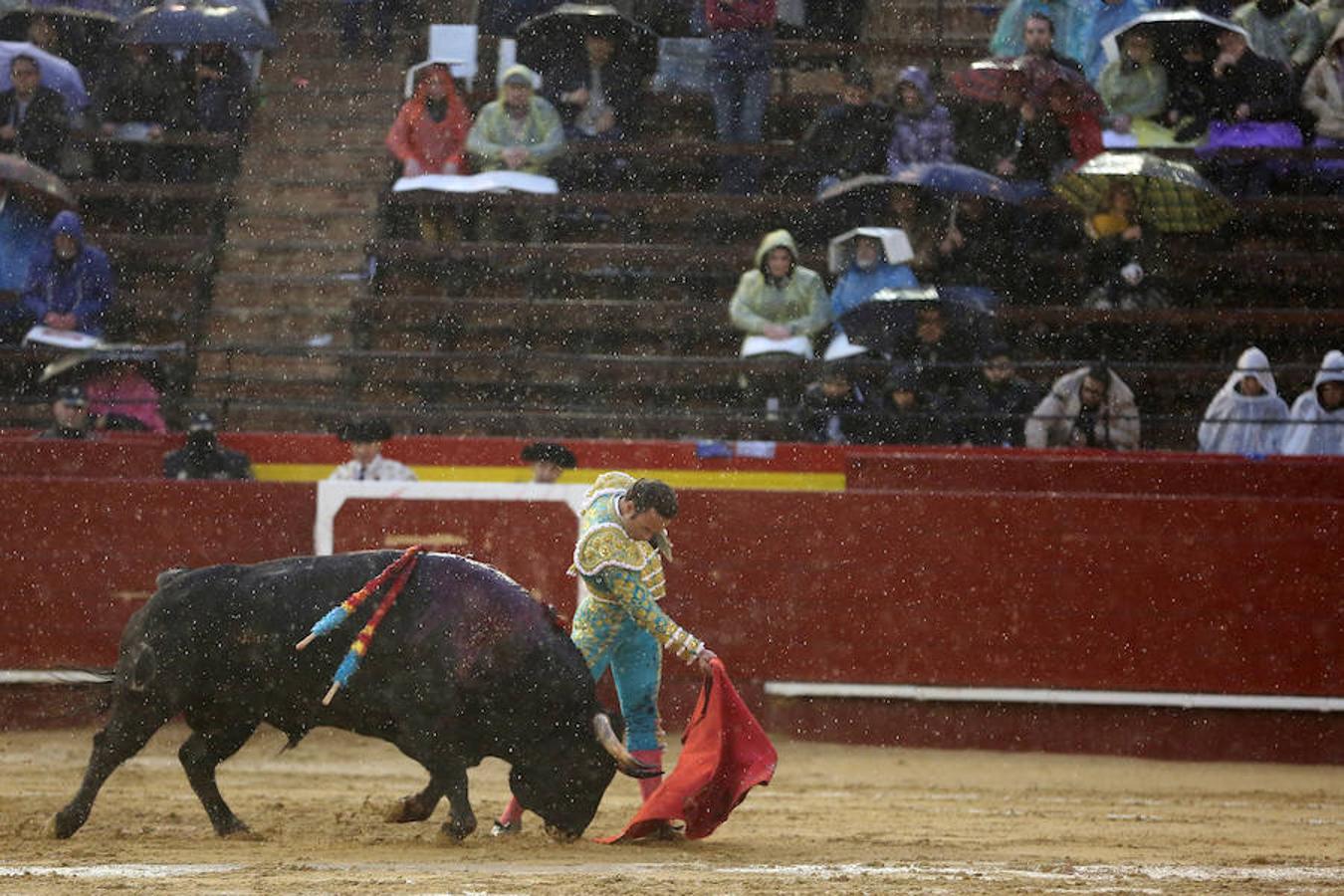 El joven matador venezolano Jesús Enrique Colombo cortó la única oreja concedida en la corrida que cerró este lunes la feria de Fallas, celebrada bajo un aguacero y en la que los fallos con la espada dejaron sin premio dos buenas y templadas faenas de los extremeños Antonio Ferrera y Ginés Marín.