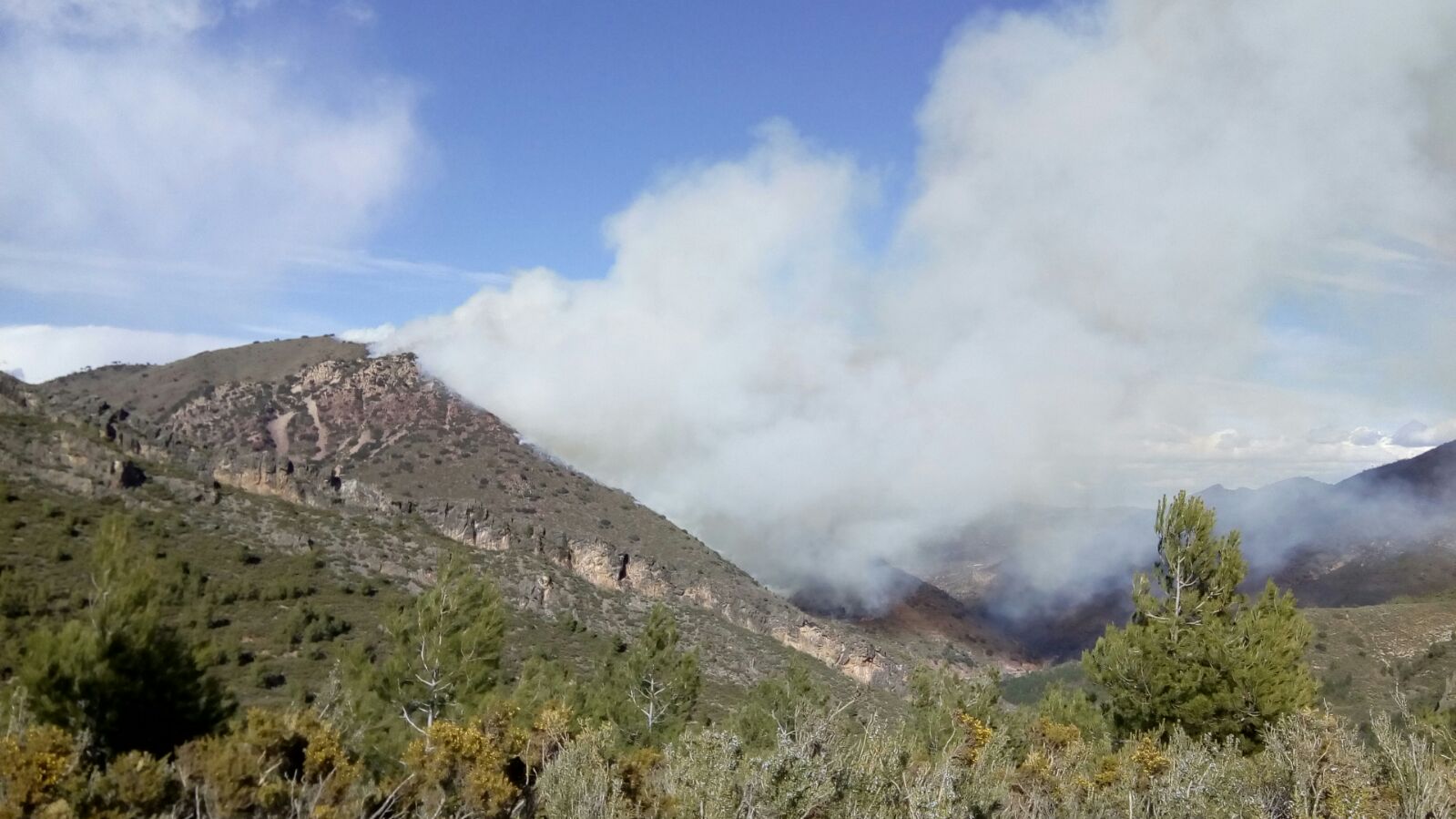 Fotos: Incendio forestal en el Collado de Arenoso de Montán (Castellón)