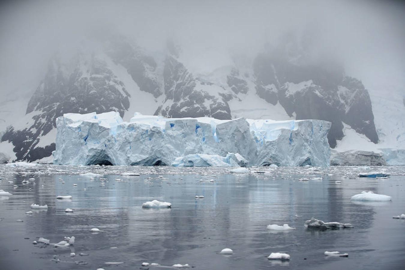 Greenpeace, la oenegé internacional que lucha por proteger y defender el medio ambiente, organizó un viaje a la Antártida para crear conciencia sobre la situación actual de la zona, recopilando vídeos e imágenres, con el fin de respaldar una propuesta de la Unión Europea para crear un refugio seguro para la vida marina, afectada por la pesca industrial.