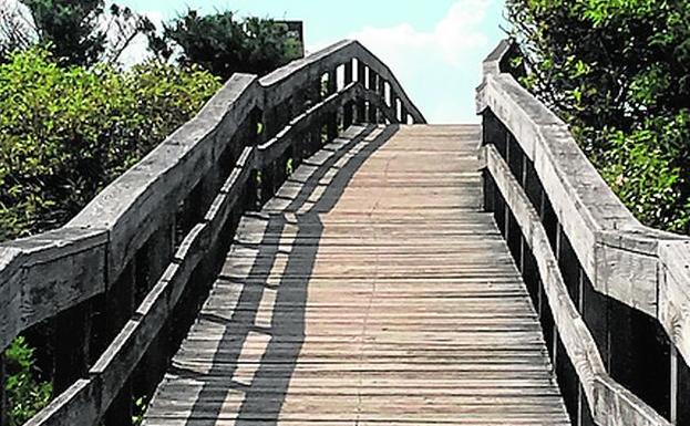 Imagen principal - Sendero de tablas de madera en Fire Island; una típica casa baja y el punto de partida del lugar.