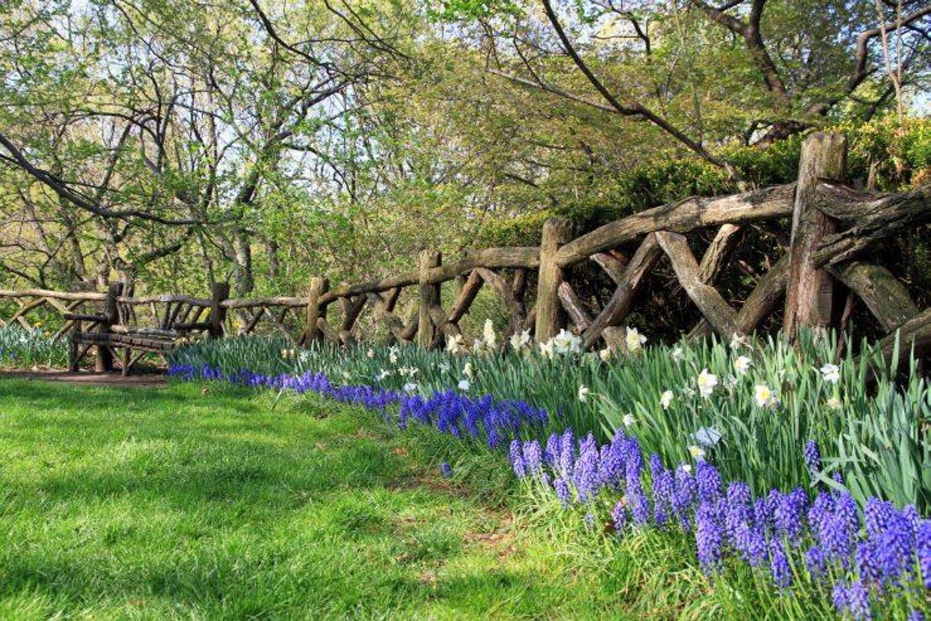 Además, recorriendo el parque puedes dar con el 'jardín de Shakespeare', una preciosa zona donde encontrar las flores y plantas mencionadas en la obra del escritor y que es popular por su vibrante ambiente romántico.
