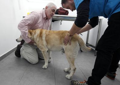 Imagen secundaria 1 - Pepe, en la sesión de rehabilitación. 