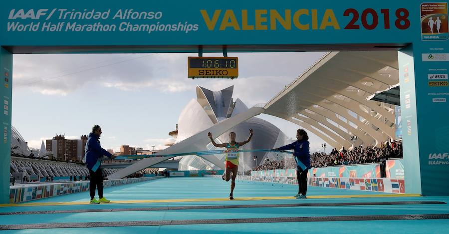 Fotos: Todas las fotos de la carrera Media maratón valencia 2018