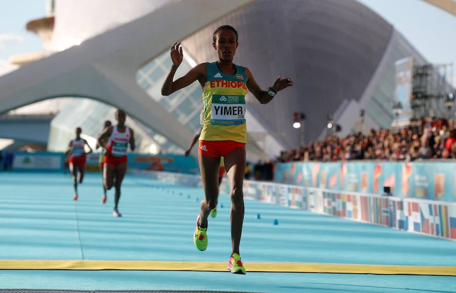 Fotos: Todas las fotos de la carrera Media maratón valencia 2018