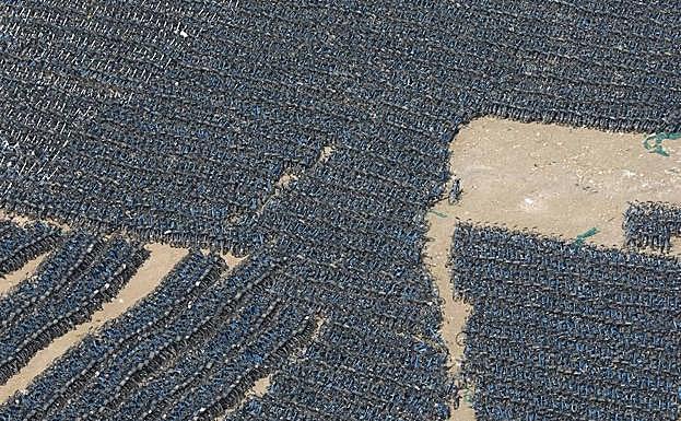 Miles de bicicletas esperan a ser reparadas en un aparcamiento al aire libre en Pekín.