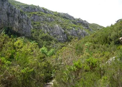 Imagen secundaria 1 - El acceso a la cresta de la sierra empieza a mostrarse ante la vista del caminante.